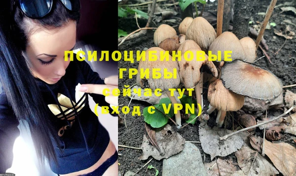 прущая мука Абдулино