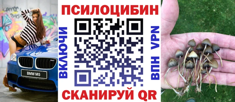 Псилоцибиновые грибы Magic Shrooms  darknet формула  Азнакаево  гидра как войти 